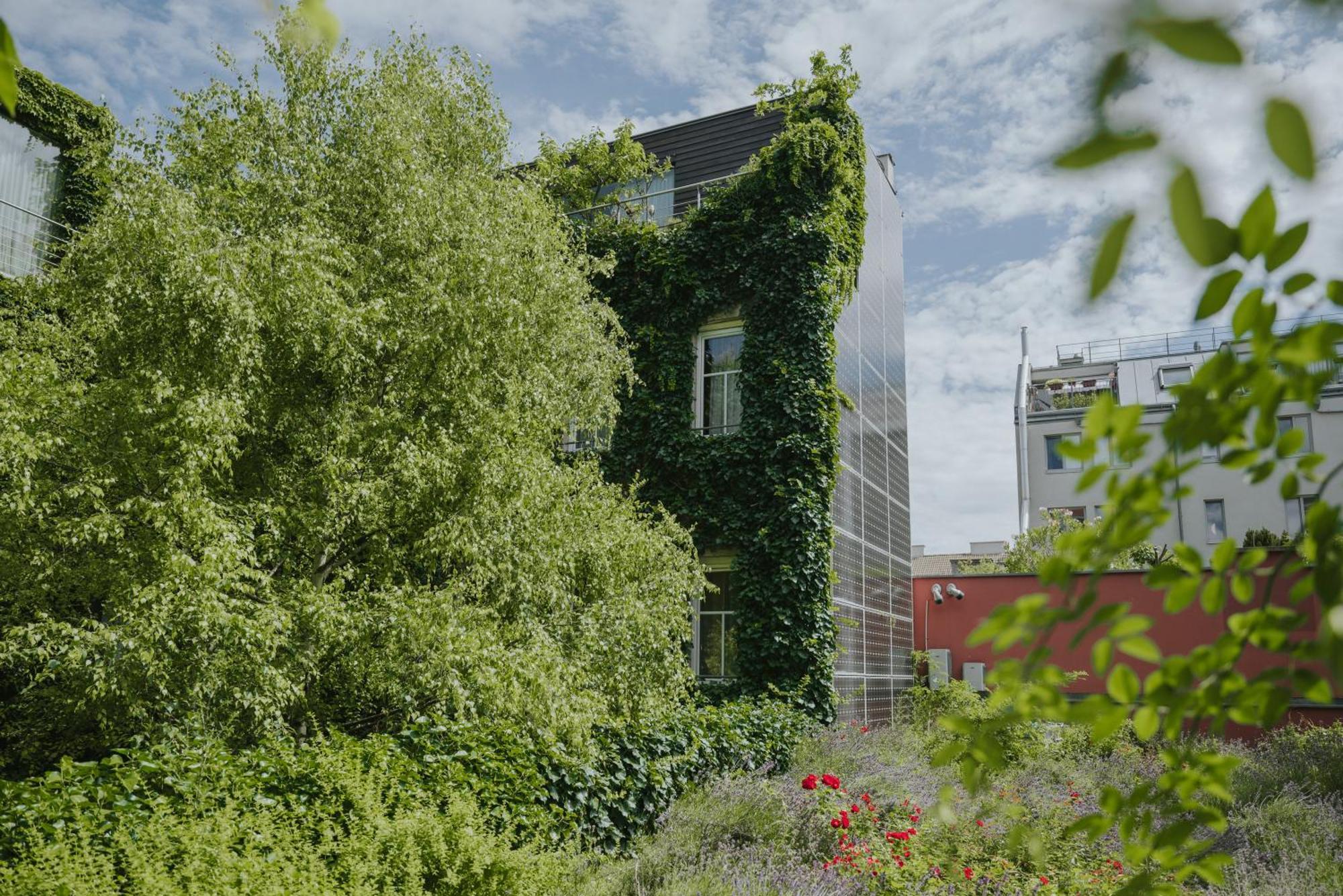 Boutiquehotel Stadthalle Viyana Dış mekan fotoğraf